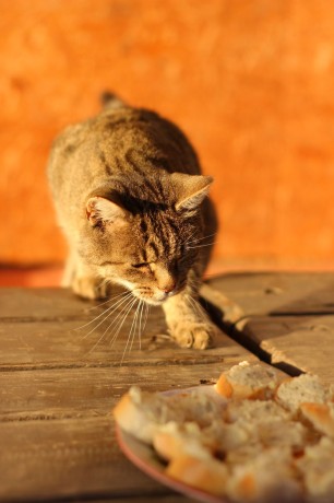 WhatsApp Image 2025-10-23 at 20.51.41