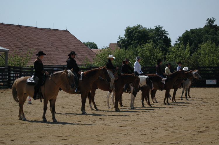DSC_0067.jpg