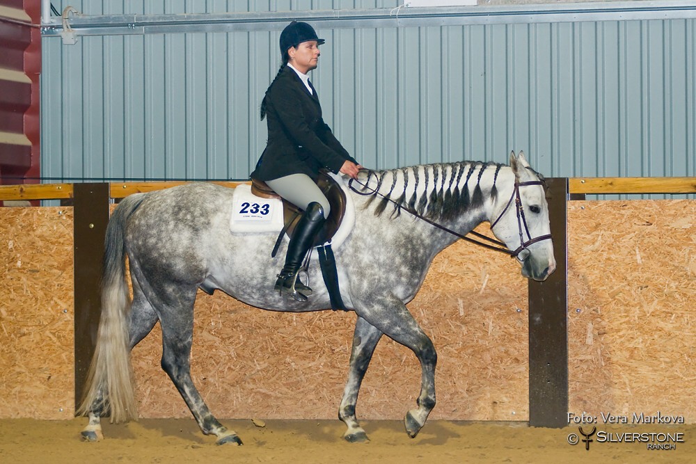 QH I 1