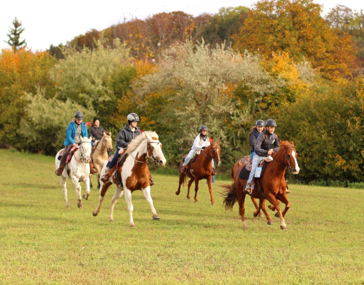 WhatsApp Image 2025-10-23 at 20.51.42 (8)