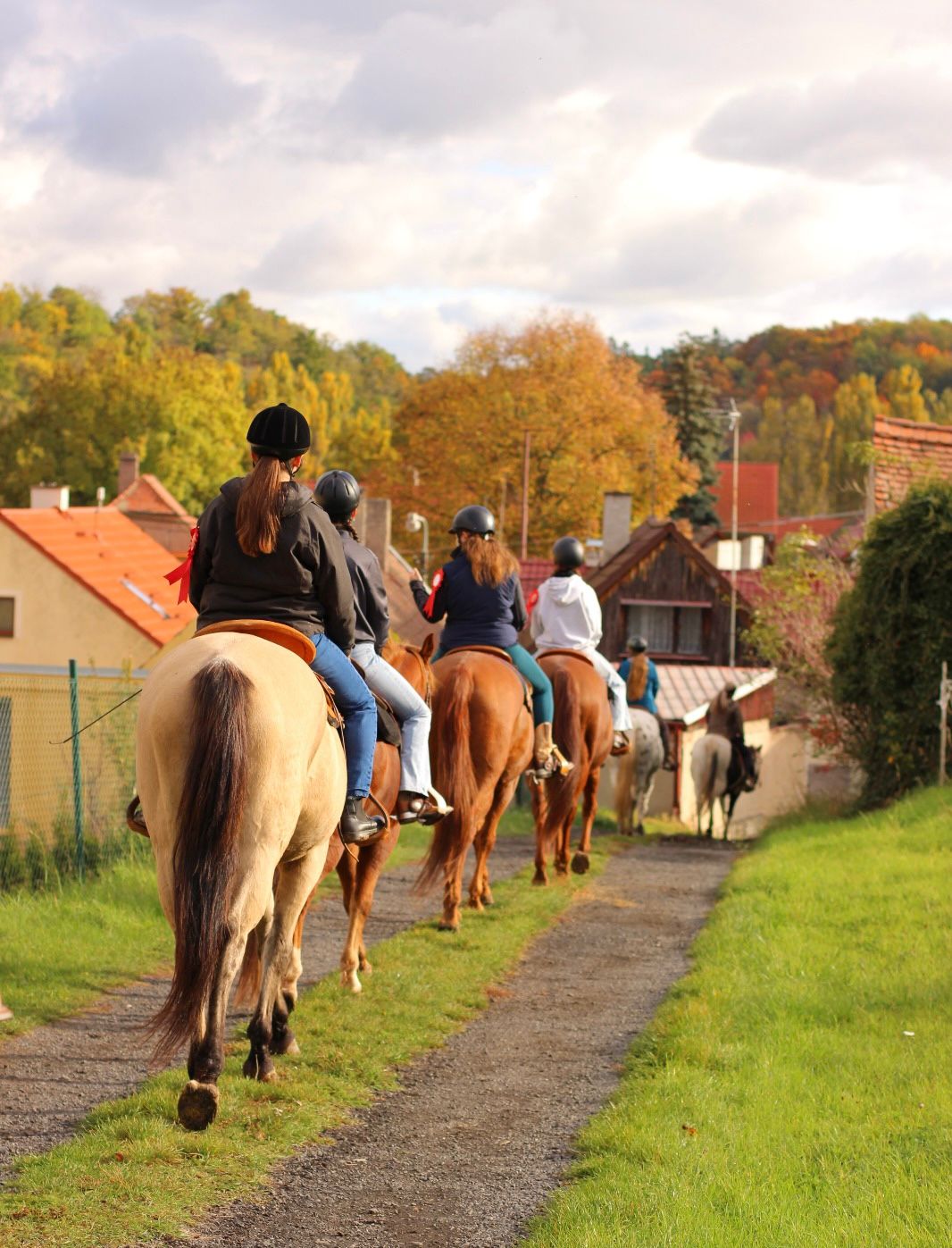 WhatsApp Image 2025-10-23 at 20.51.42