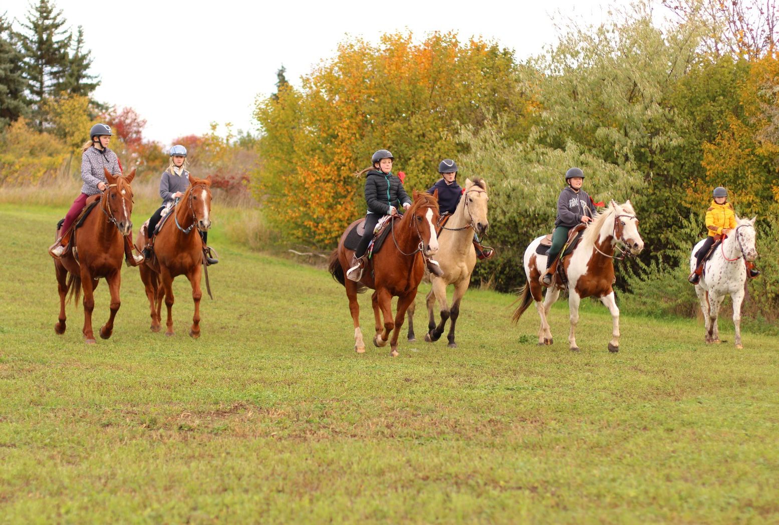 WhatsApp Image 2025-10-23 at 20.51.43