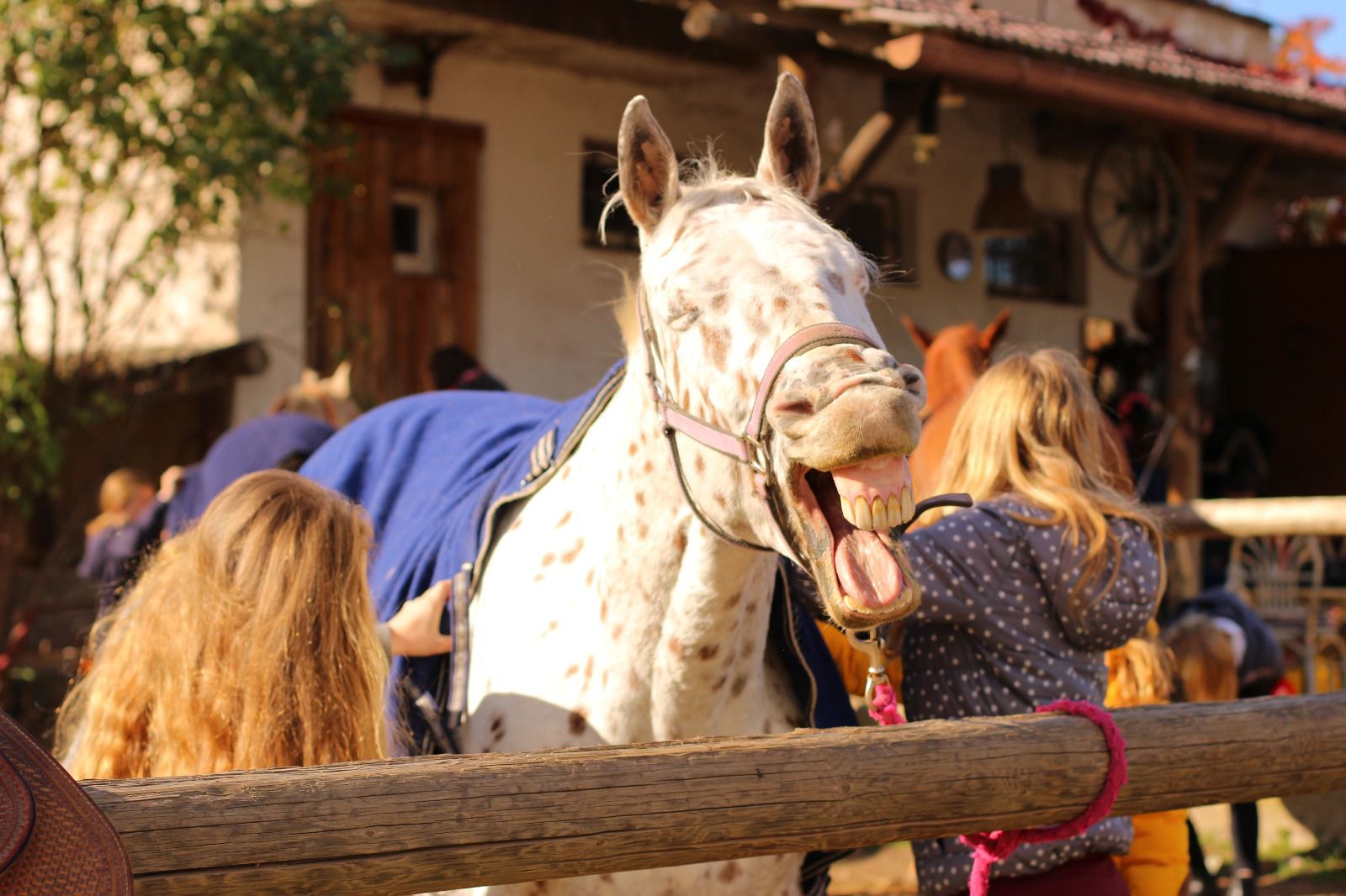 WhatsApp Image 2025-10-23 at 20.51.44 (1)