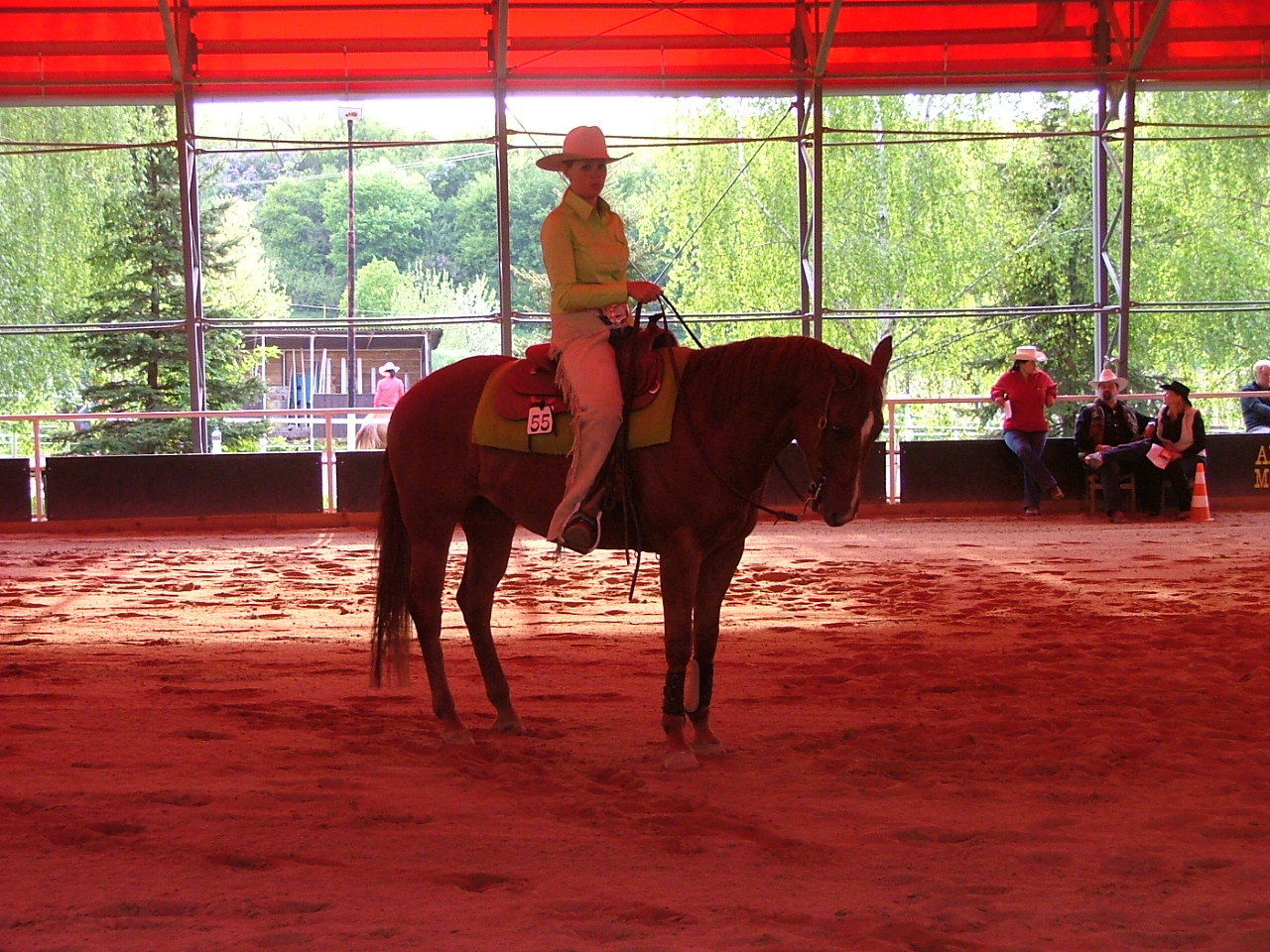 20011KoryčanyromcaTNT2