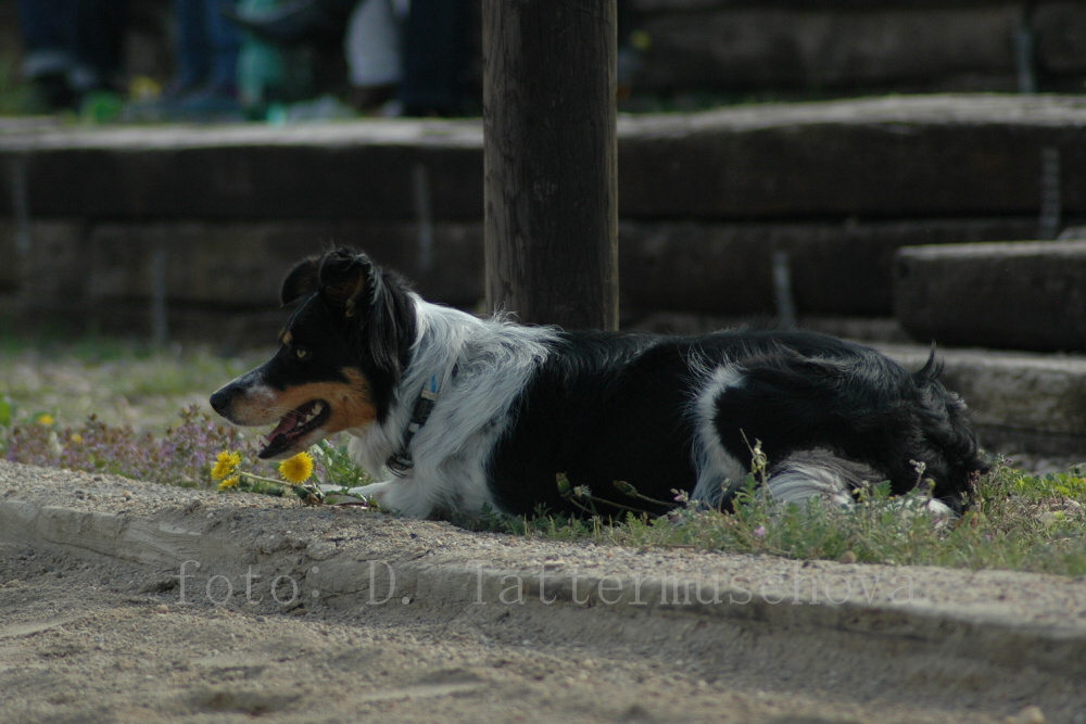 DSC_0099