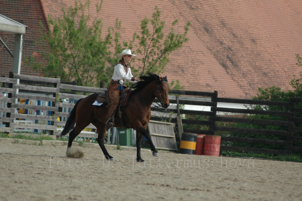 DSC_0105 (2)