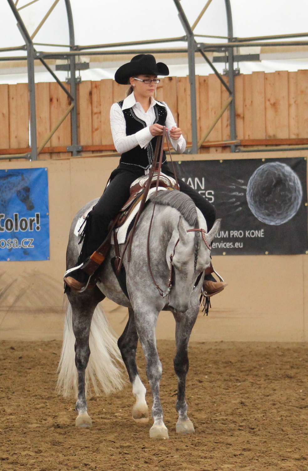 SAppaloosa show 062013Krakovany 457