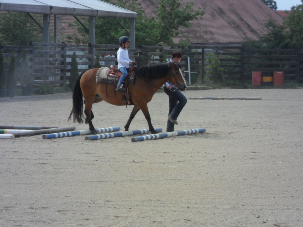 SAM_3549