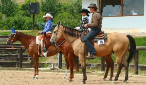 horseman-amater.jpg