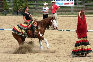reining-free.jpg